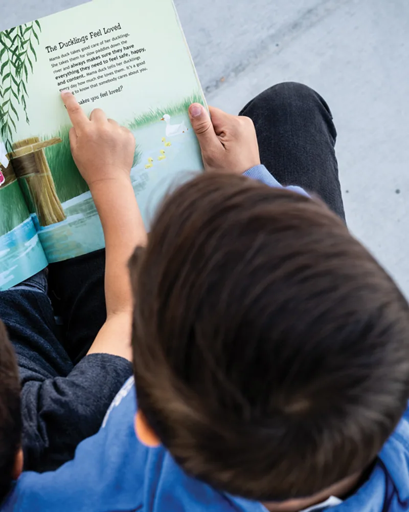 boys read